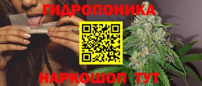 ПСИЛОЦИБИНОВЫЕ ГРИБЫ Пушкино