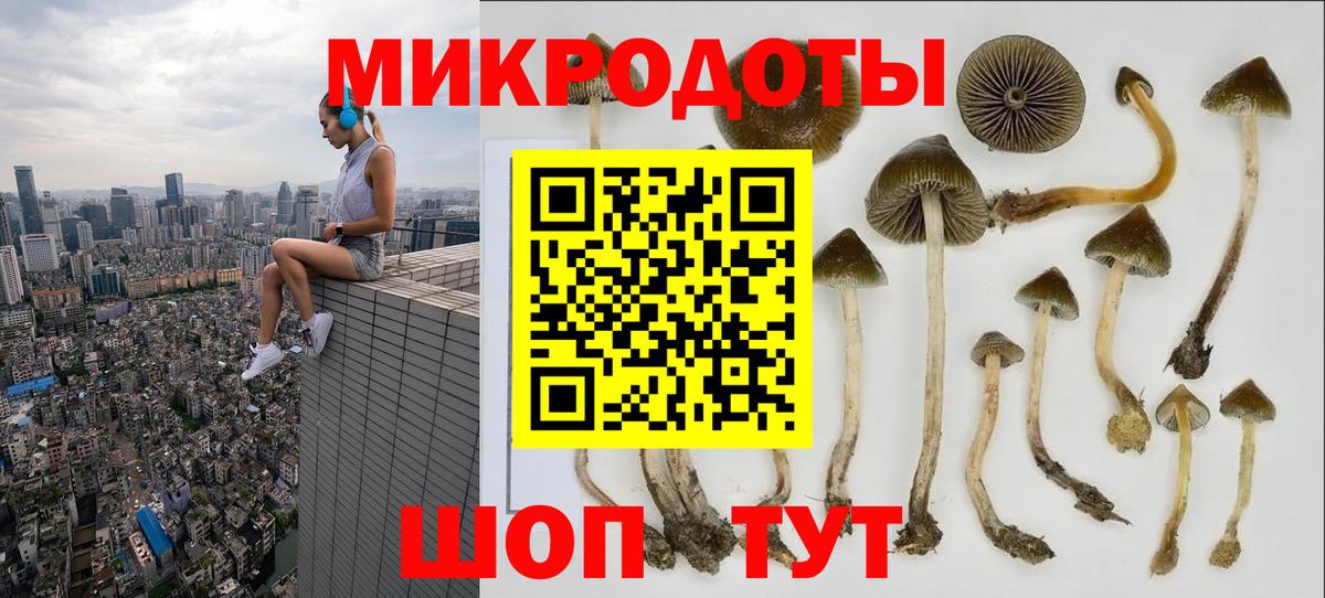 Галлюциногенные грибы Psilocybe  Вход с VPN  Киреевск  Галлюциногенные грибы Psilocybine cubensis 